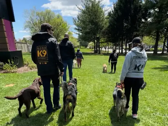 Board and train dog program Gaithersburg MD