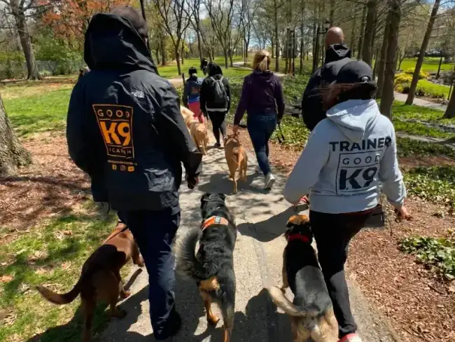 Dog daycare Gaithersburg MD