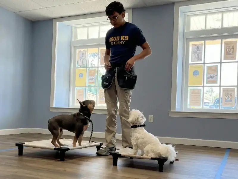 Good K9 Academy trainers with dog in Gaithersburg Maryland