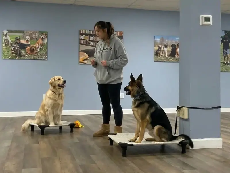 Owner handoff session after board and train program