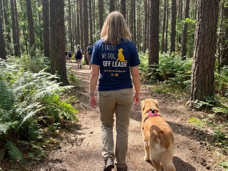 Well-trained puppy with owner after training program
