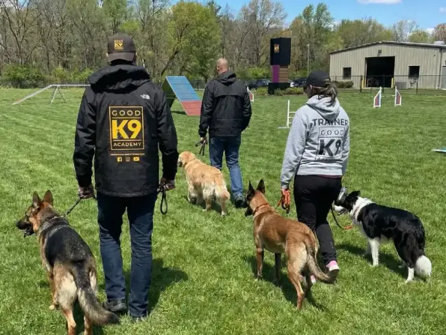 Well-trained puppy with owner after training program