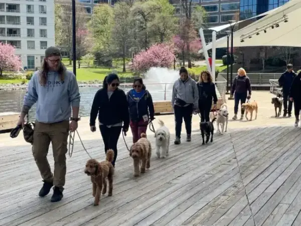 Group dog training classes Gaithersburg MD