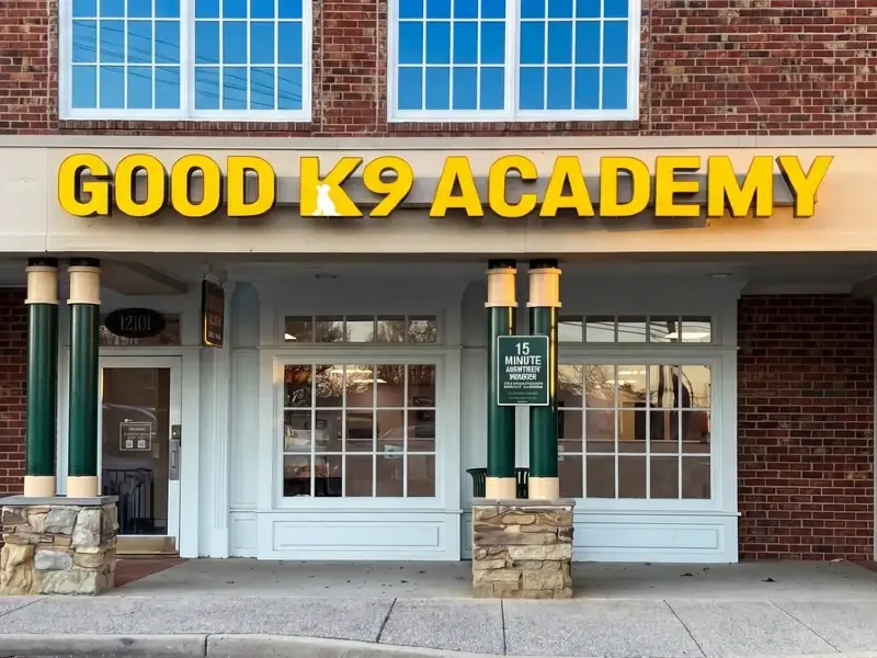 Professional dog training at Good K9 Academy in Gaithersburg MD